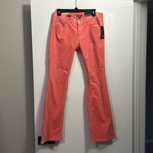 Wild Fable Velvet Flared Low Rise Pants size 6